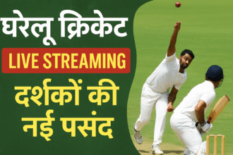 घरेलू क्रिकेट